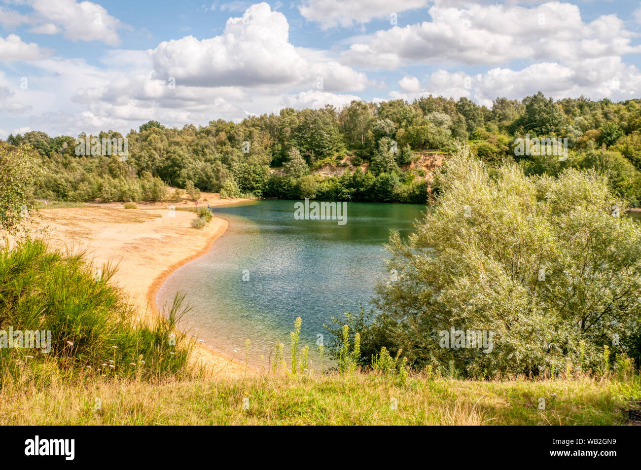 Bawsey Country Park, reclaimed sand pits, outside King's Lynn in Norfolk. Stock Photo