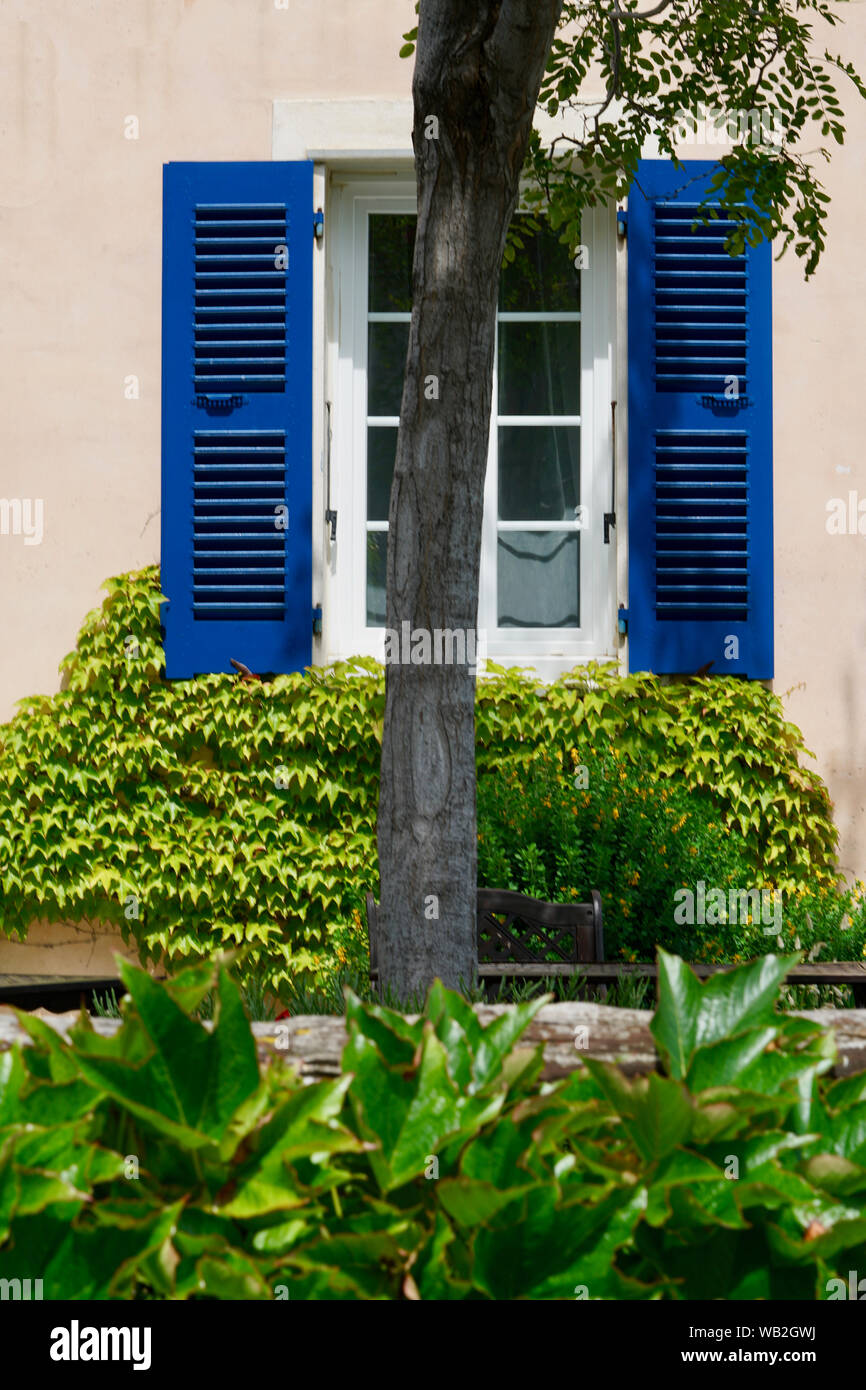 Beige home with a white window and blue folding shutters, ivy under the  windows, a tree in the foreground Stock Photo - Alamy, image size:866x1390