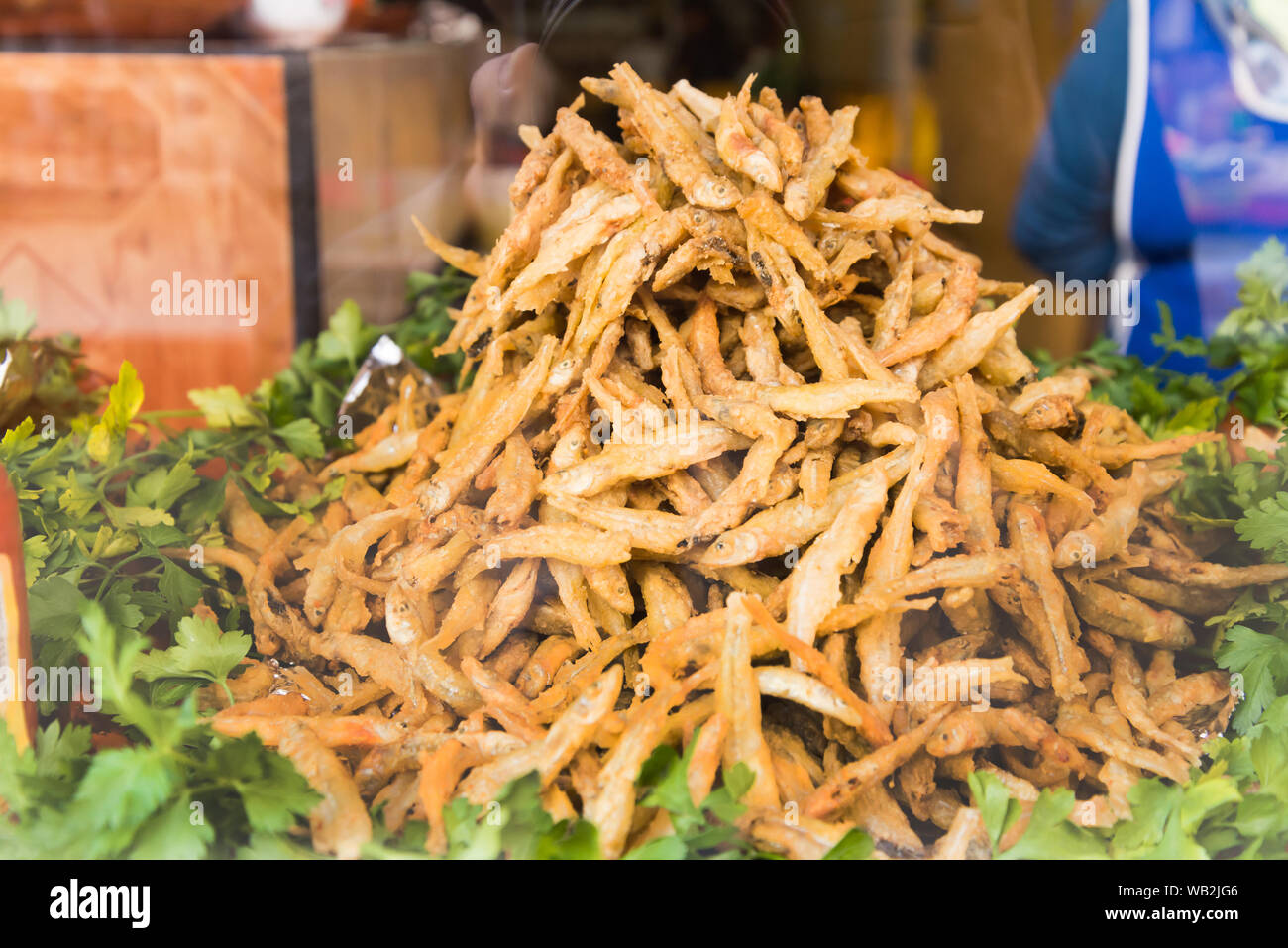 Charales, bunch of small fishes Stock Photo