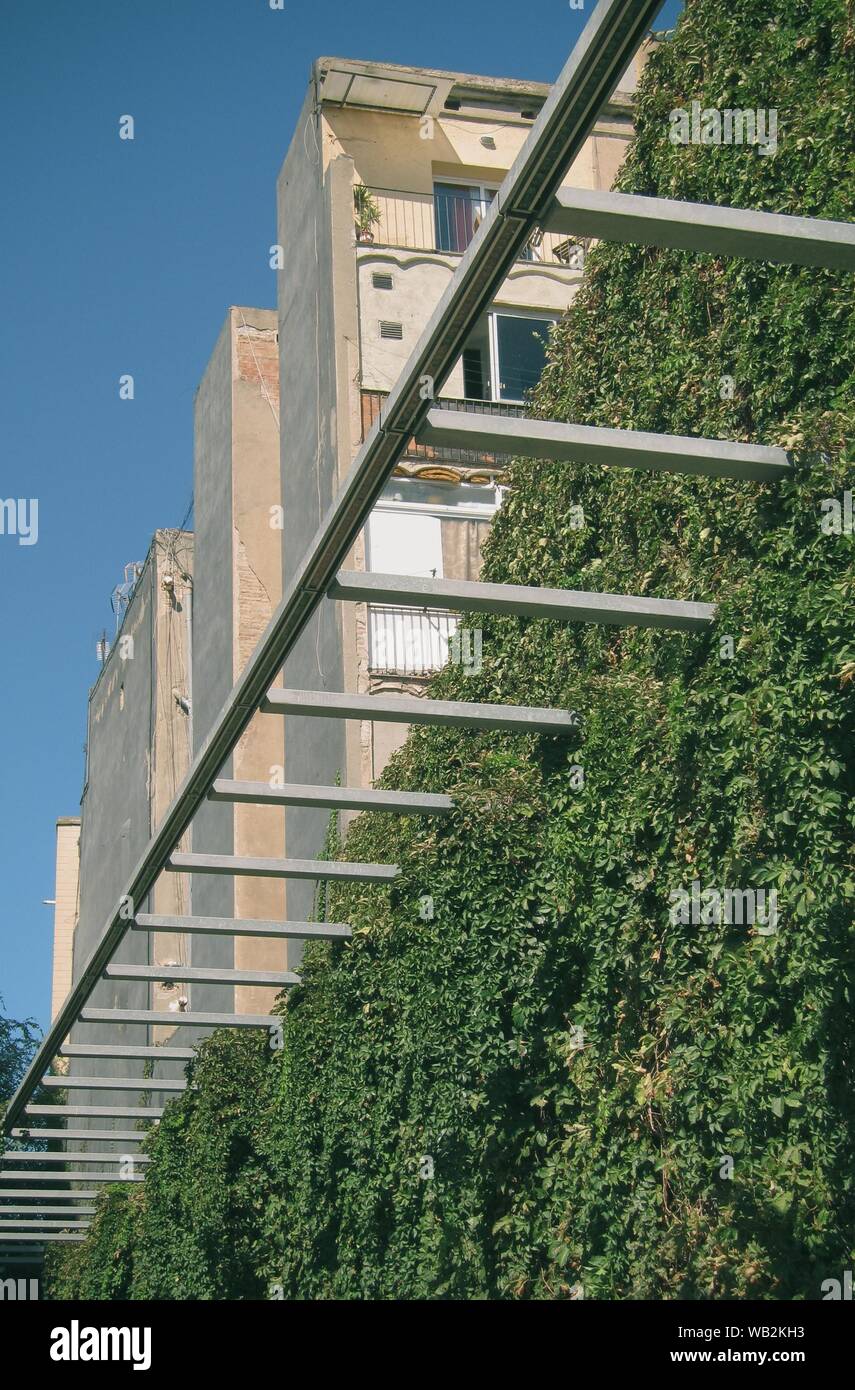 Vertical shot of a green leafy fence with apartment buildings in the ...