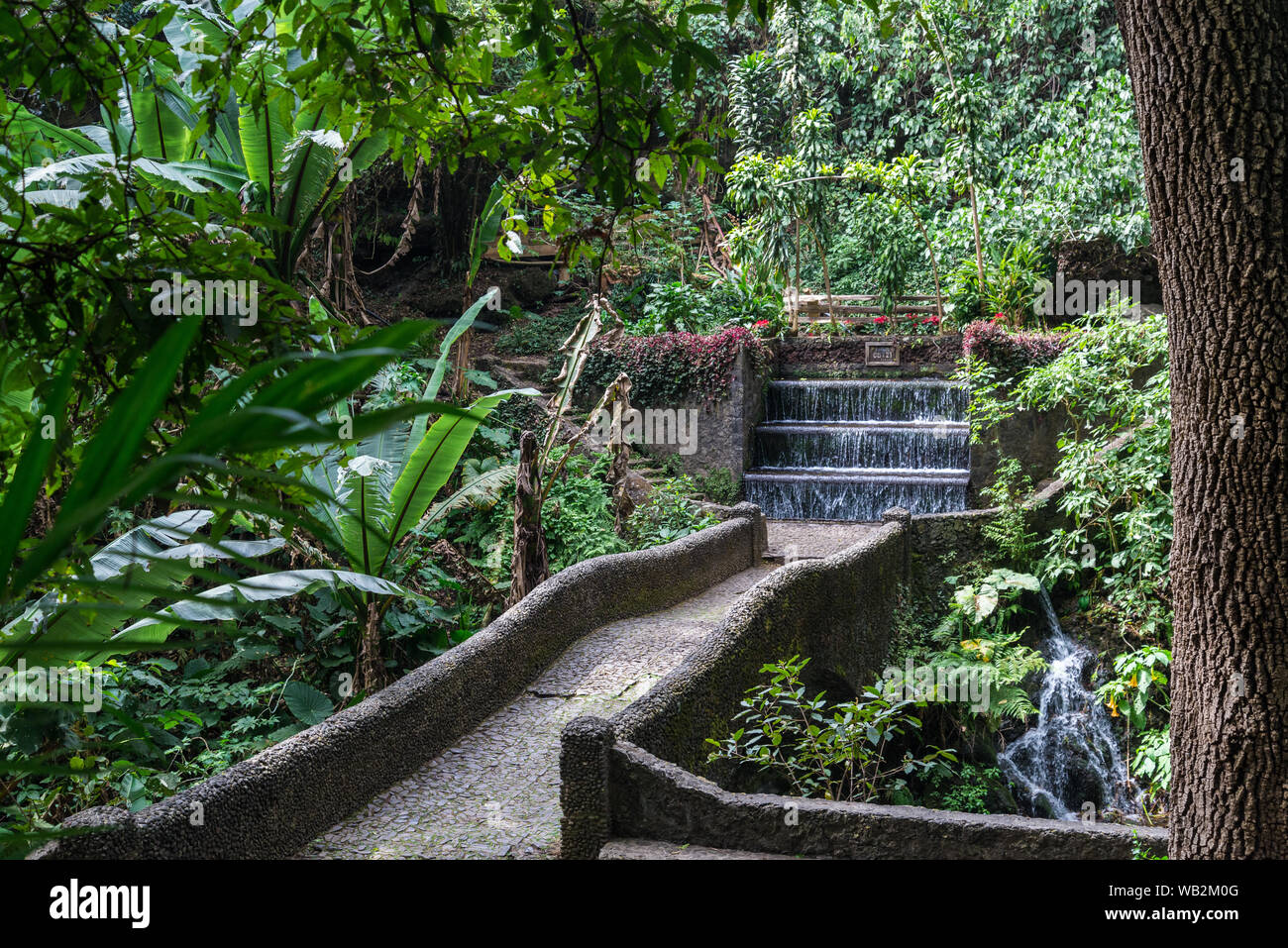 National park in Uruapan, Michoacan-Mexico Stock Photo