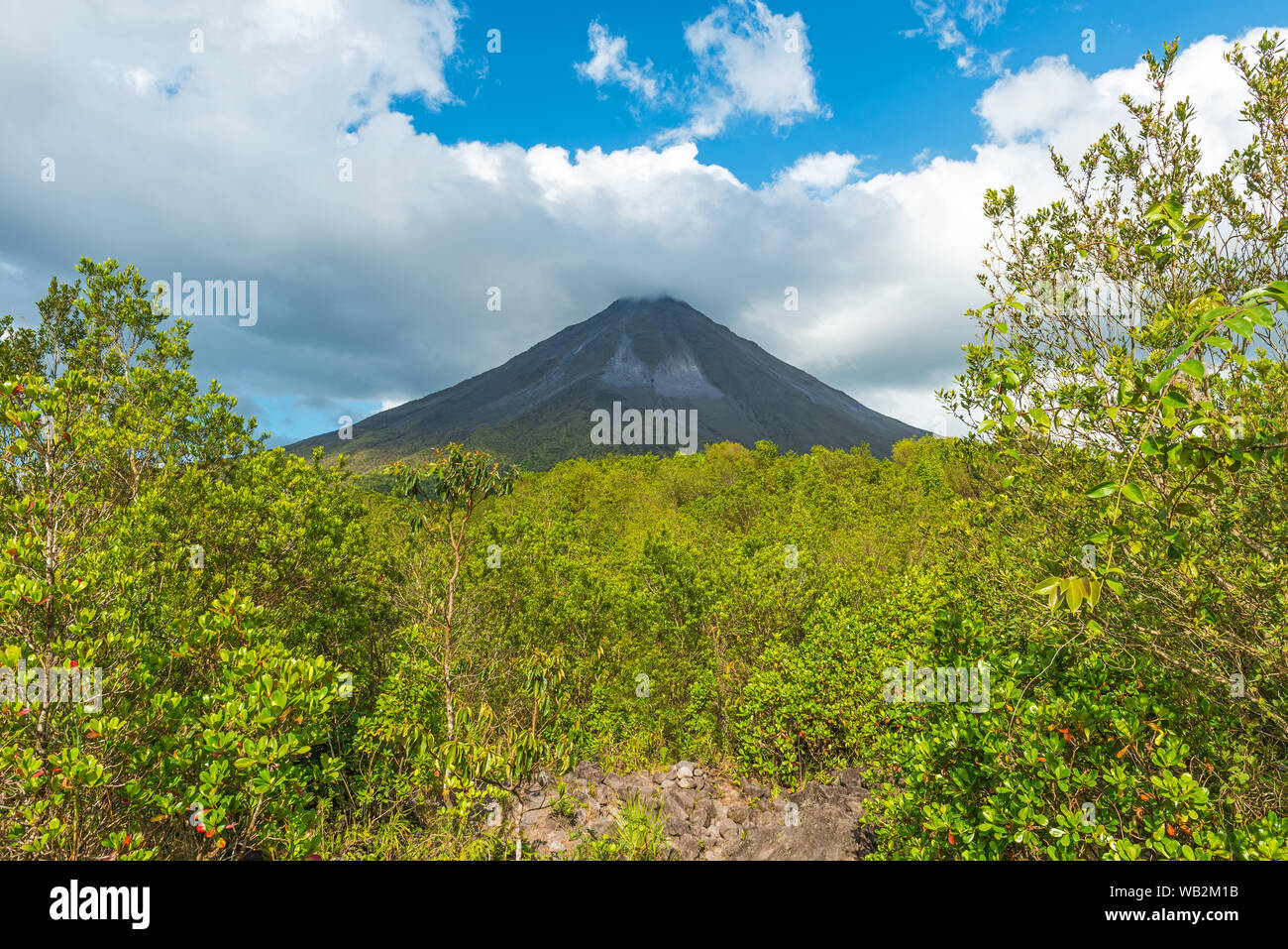 Lush vegetation landscape inside the Arenal volcano national park near San Jose, Costa Rica, Central America. Stock Photo