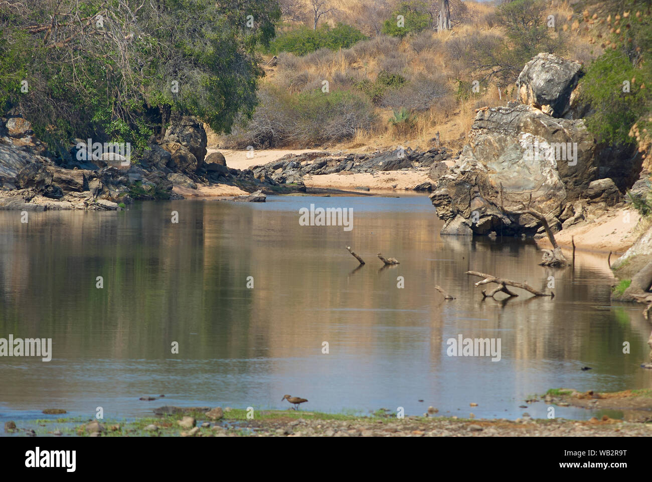 The Ruaha river at low water level, Tanzania Stock Photo