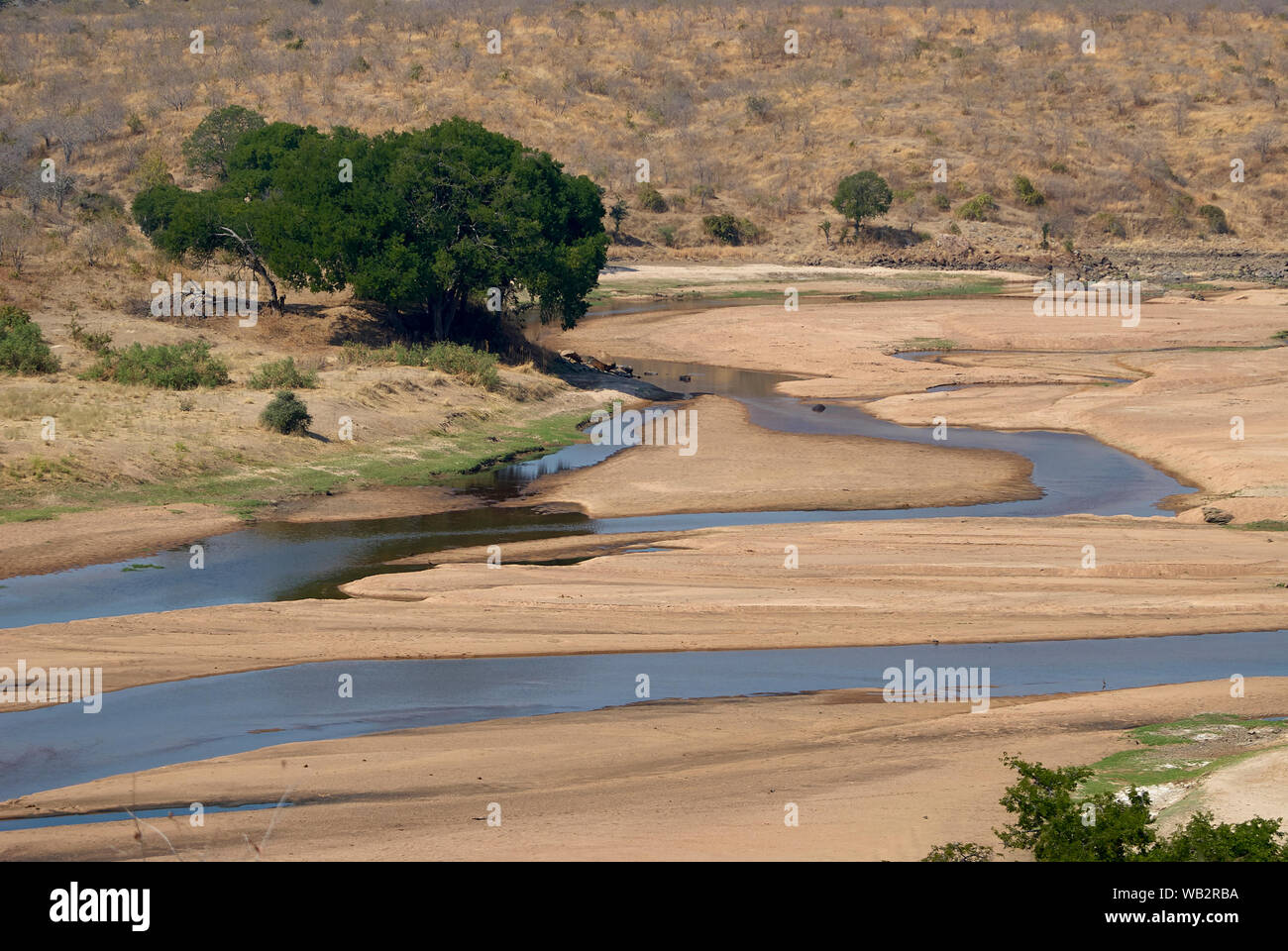 The Ruaha river at low water level, Tanzania Stock Photo