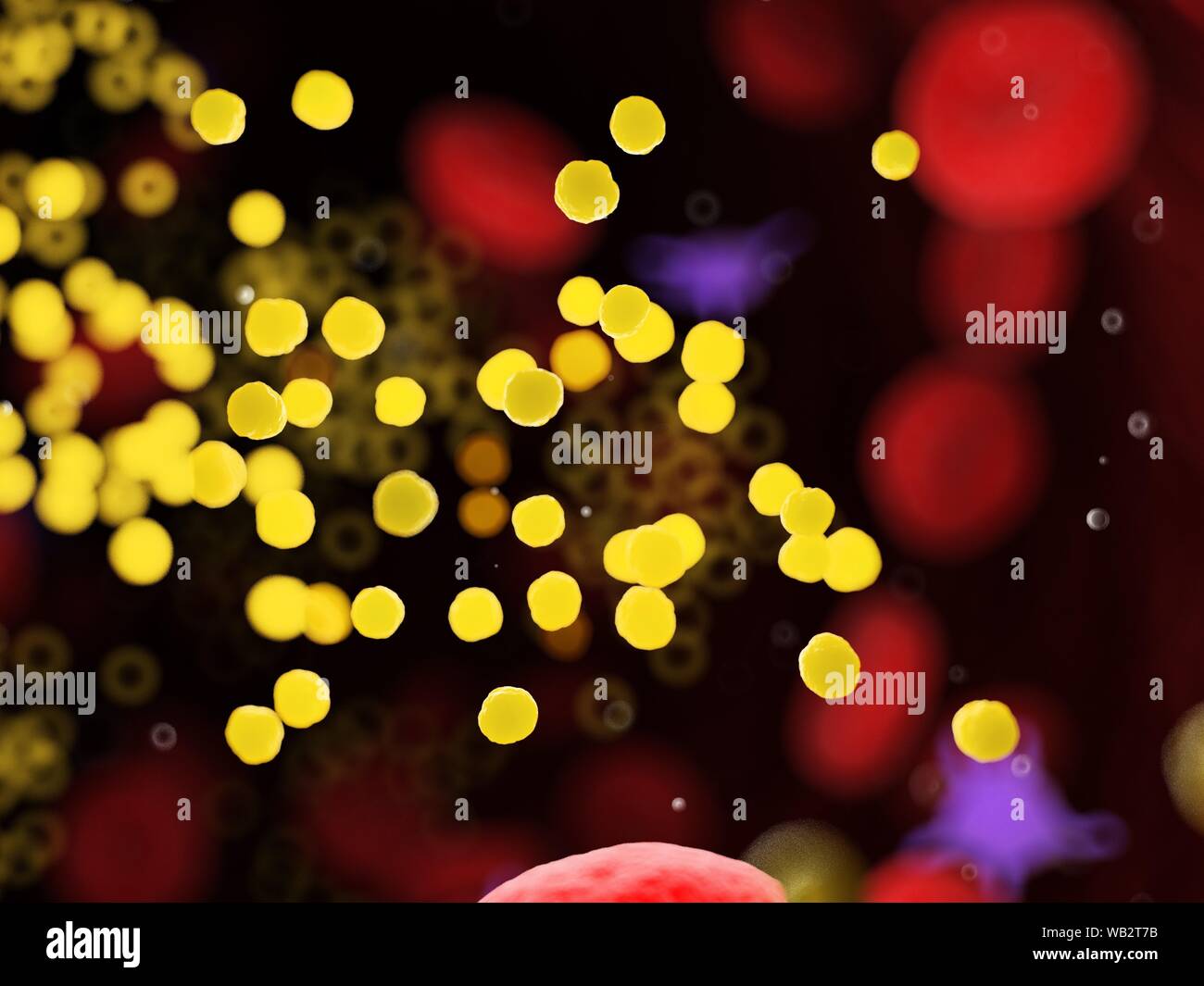 Fat In Blood Vessels Computer Illustration Stock Photo Alamy Fat in blood vessels computer illustration stock photo alamy