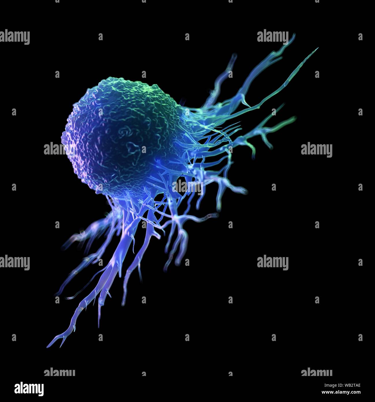 Cancer cell, computer illustration Stock Photo - Alamy