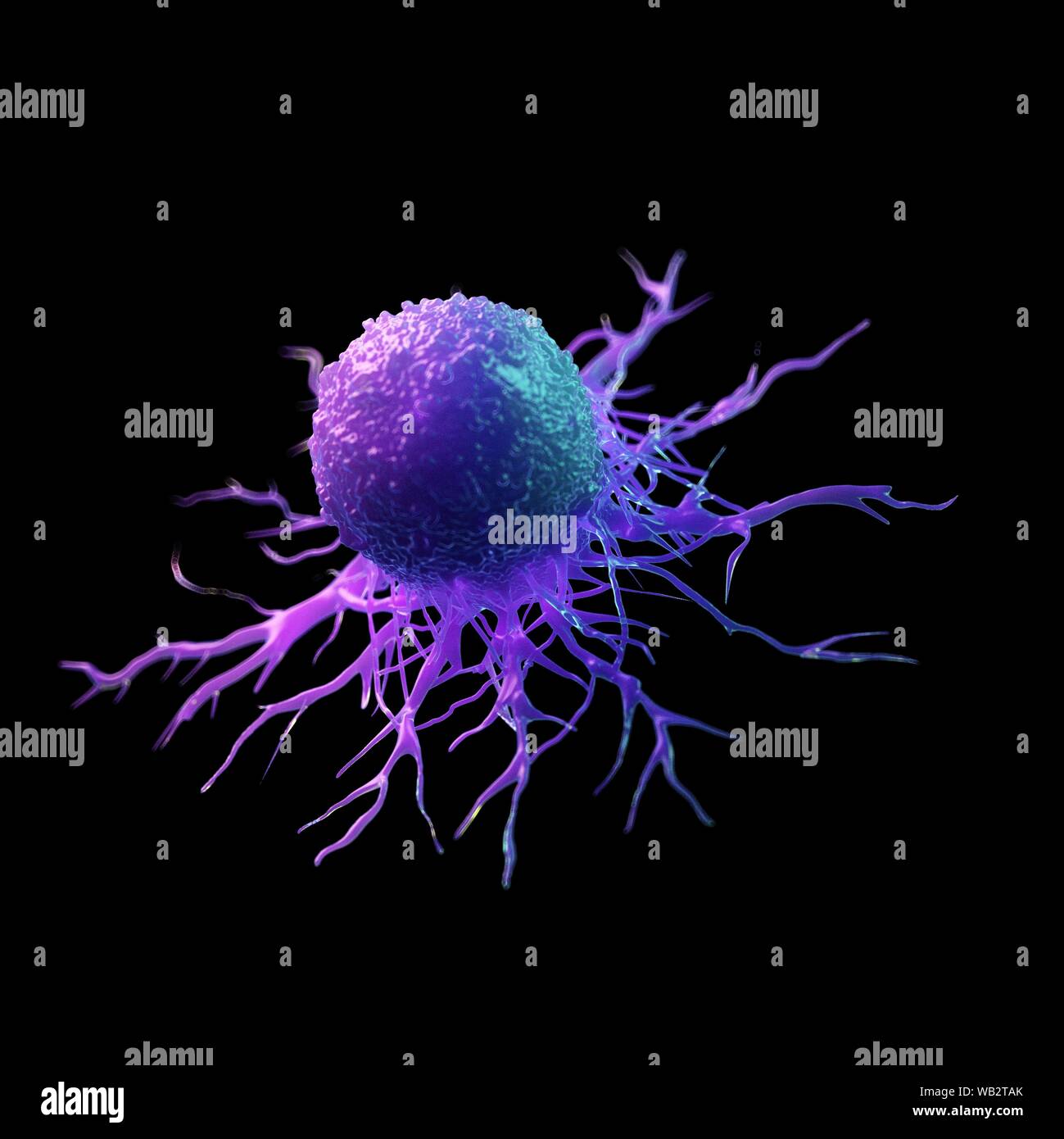 Cancer cell, computer illustration Stock Photo - Alamy