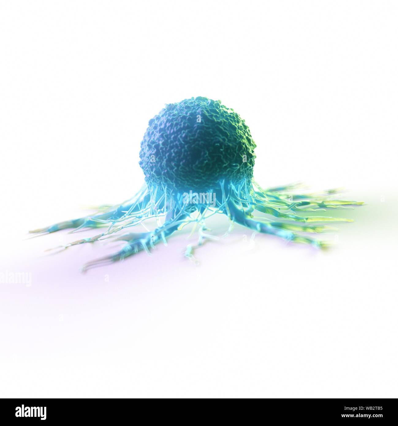 Cancer cell, computer illustration Stock Photo - Alamy