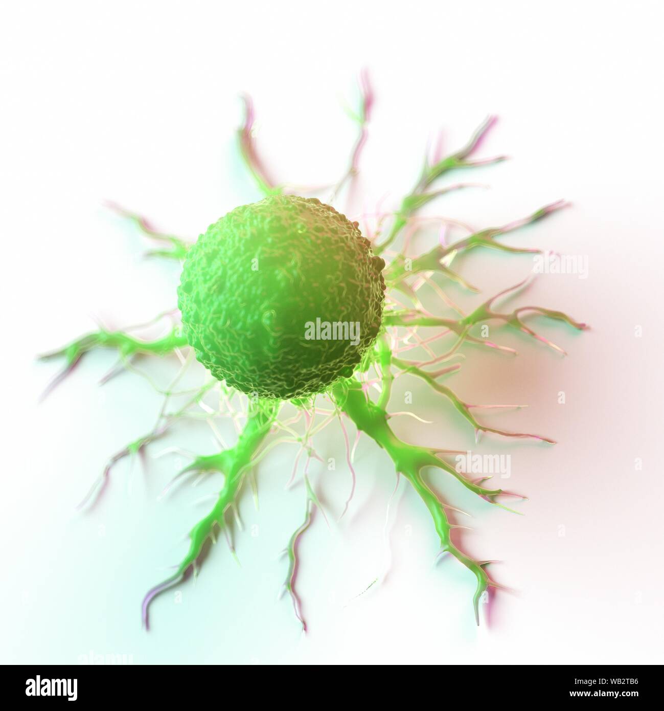 Cancer cell, computer illustration Stock Photo - Alamy