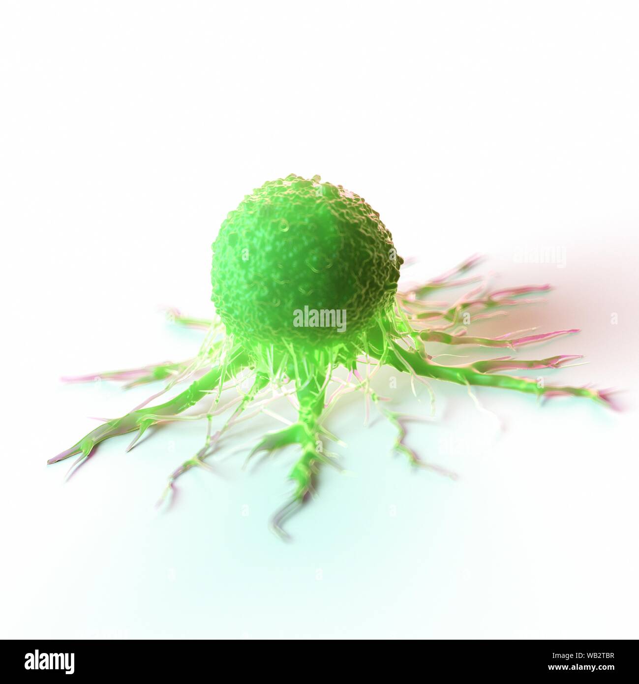 Cancer cell, computer illustration Stock Photo - Alamy