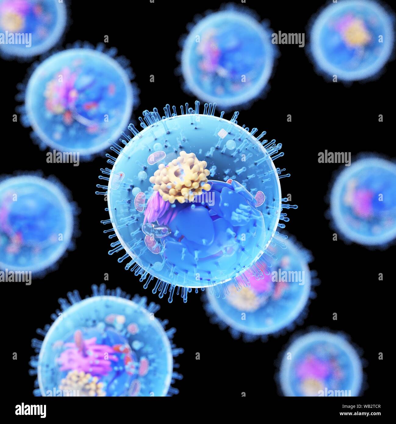 Animal cell, computer illustration Stock Photo - Alamy Animal cell, computer illustration Stock Photo - Alamy