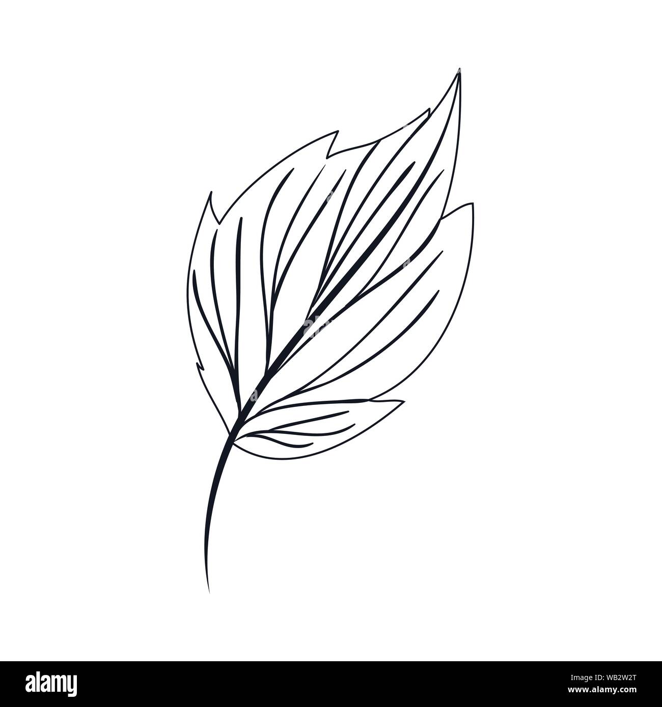 branch with leaf isolated icon Stock Vector Image & Art - Alamy