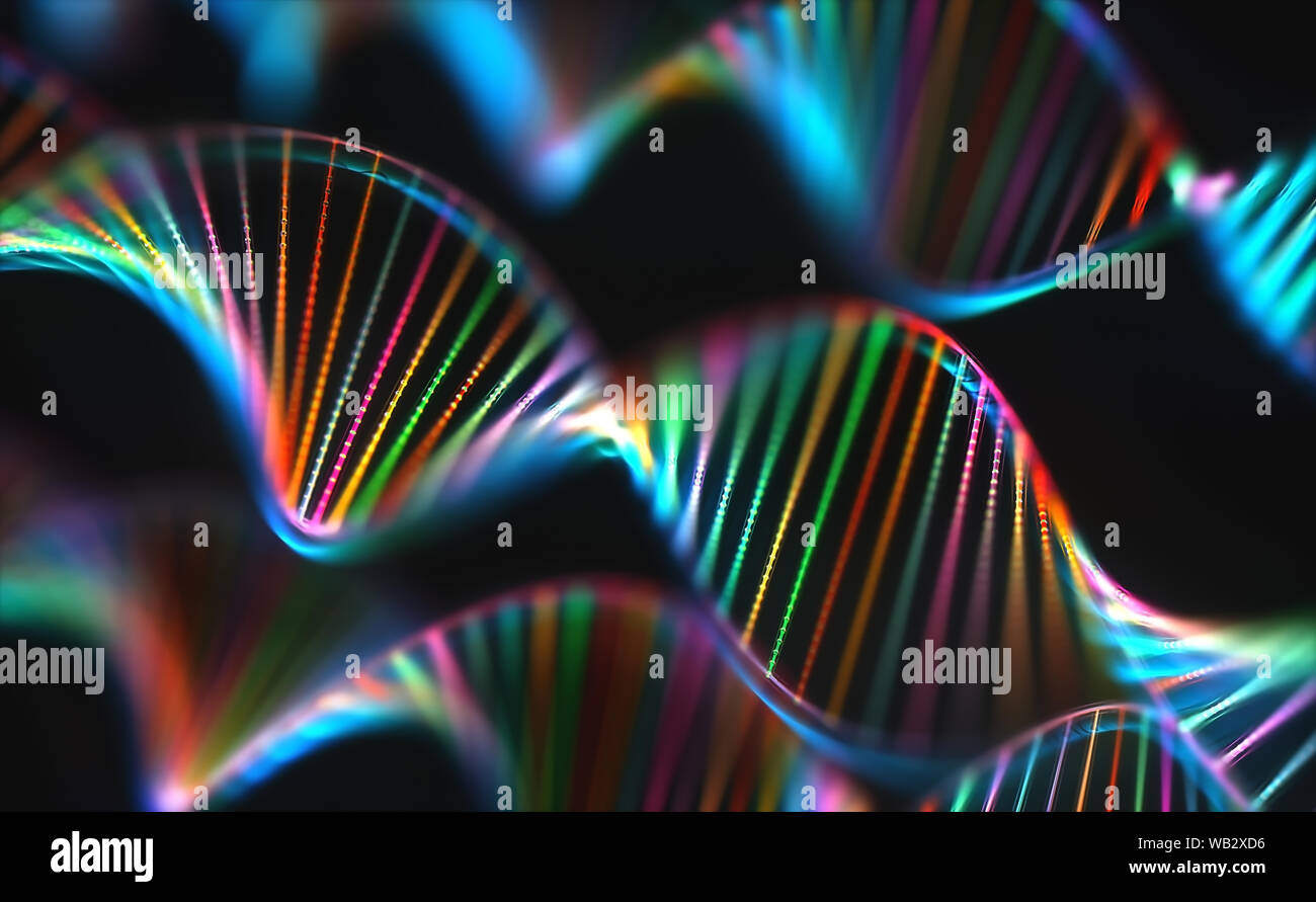 DNA (deoxyribonucleic acid) molecules, computer illustration. Stock Photo