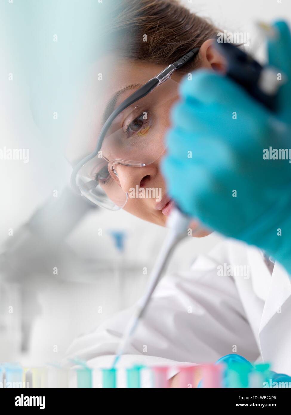 Biotechnology research. Scientist pipetting sample into a microcentrifuge tube ready for automated analysis. Stock Photo