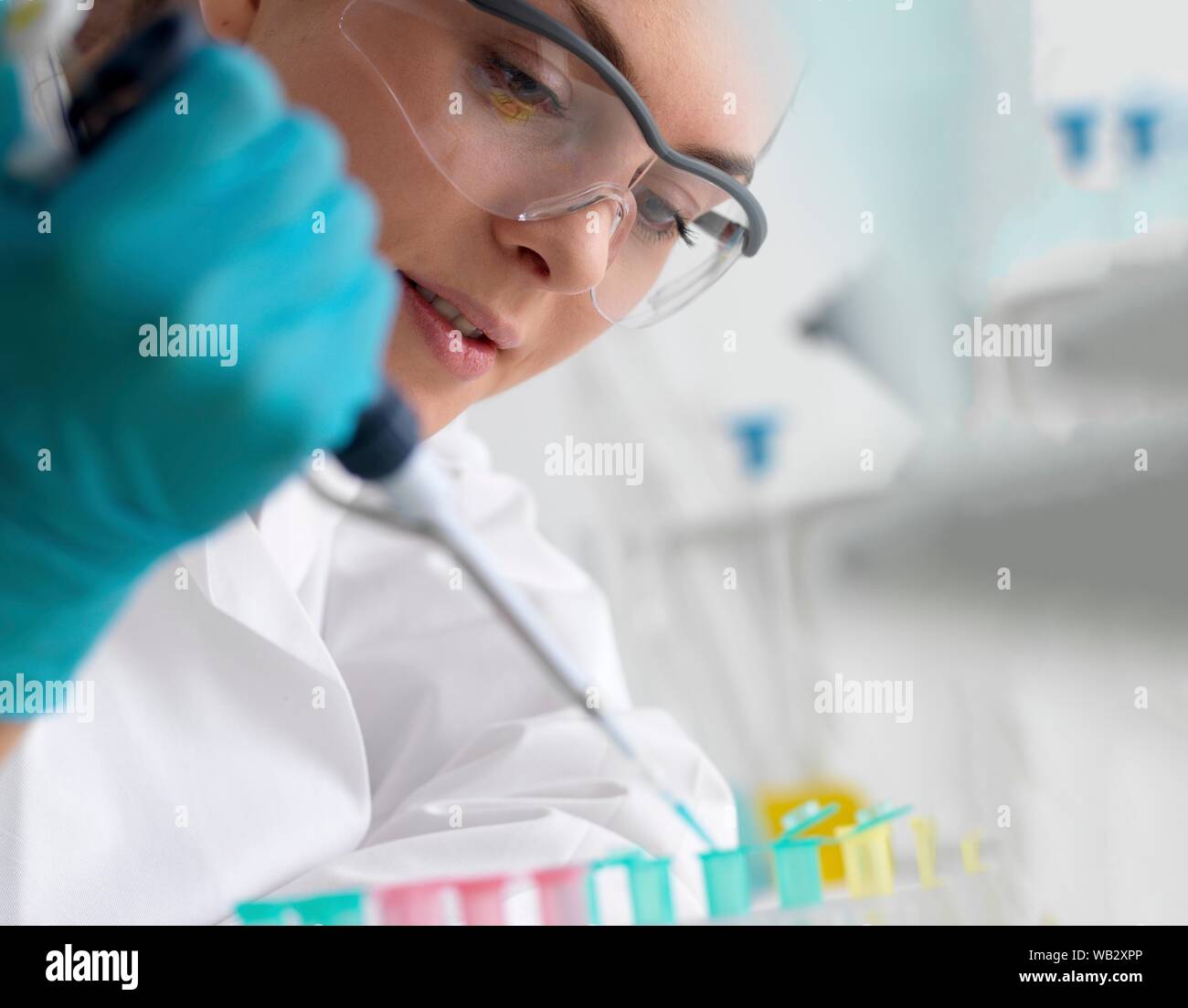 Biotechnology research. Scientist pipetting sample into a microcentrifuge tube ready for automated analysis. Stock Photo