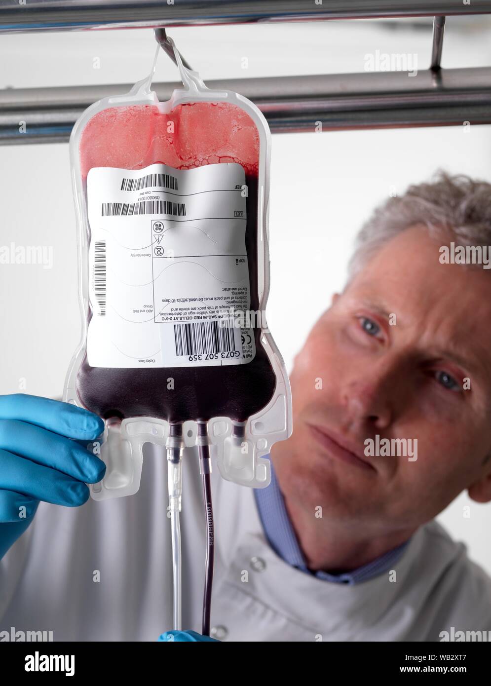 Donor blood processing. The donor blood is being separated into its component parts. Stock Photo