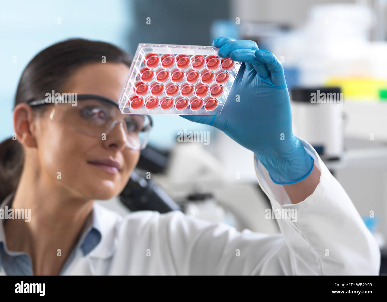 Cell research. Scientist viewing cell samples in a multiwell plate. Stock Photo