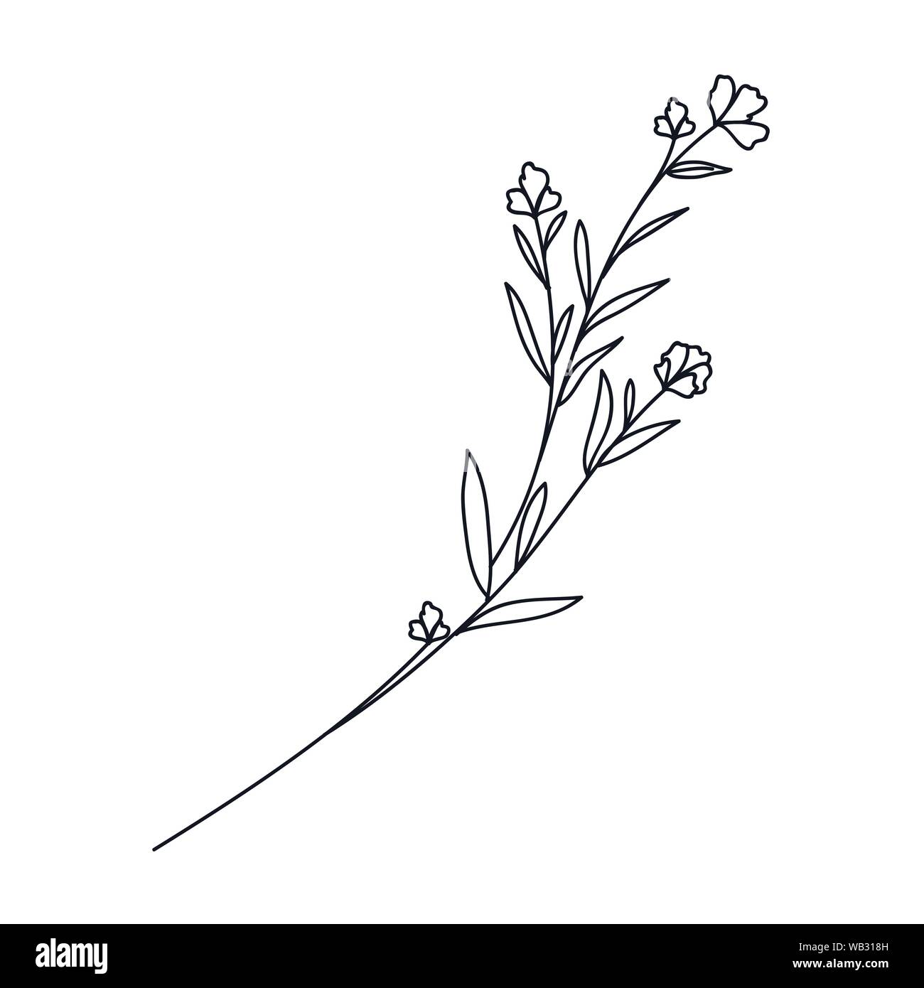 branch with leaves isolated icon Stock Vector Image & Art - Alamy