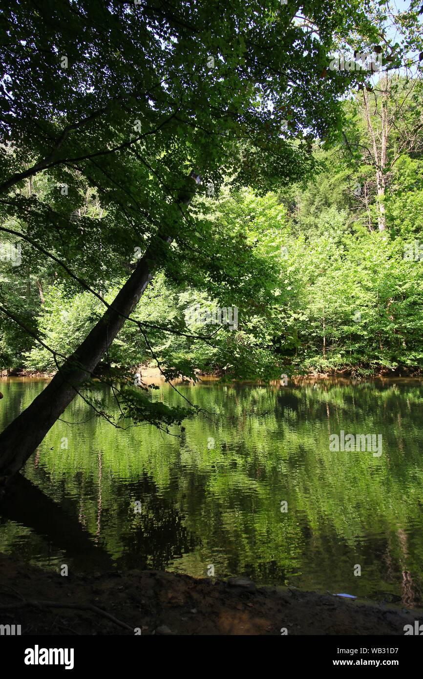 Mohican River, Mohican State Park, Ohio Stock Photo - Alamy