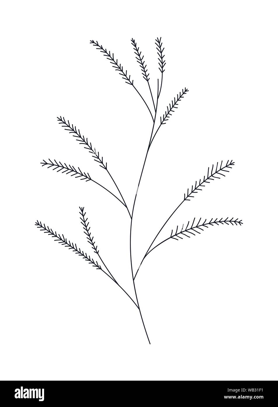 branch with leaves isolated icon Stock Vector Image & Art - Alamy