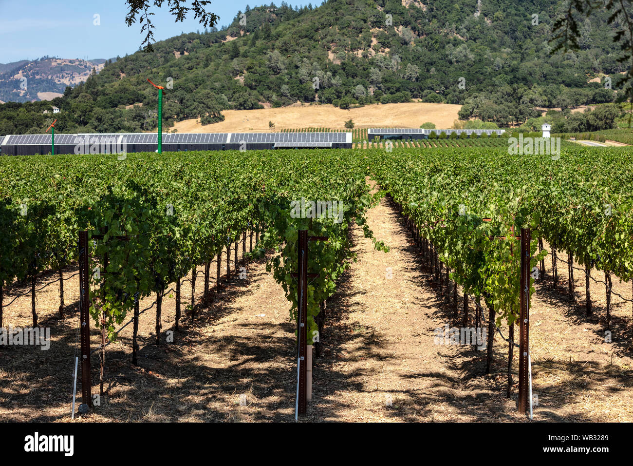 Healdsburg, CA August 13, 2019 A view of the ultramodern and