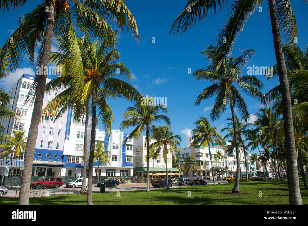 MIAMI - AUGUST 21, 2019: Palm trees stand above the historic Art Deco architecture of Ocean Drive on a quiet summer morning in South Beach. Stock Photo
