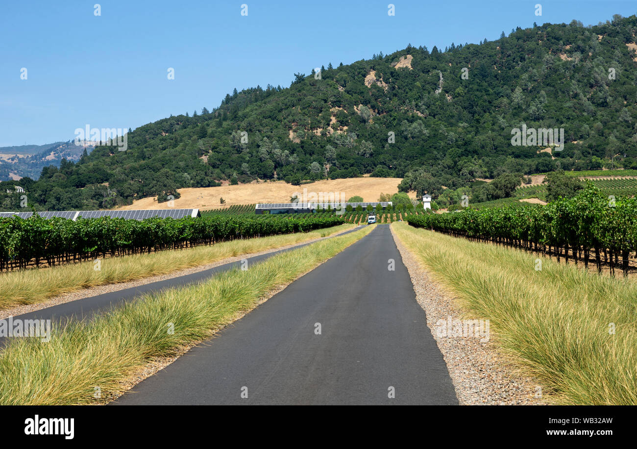 Healdsburg, CA August 13, 2019 A view of the ultramodern and