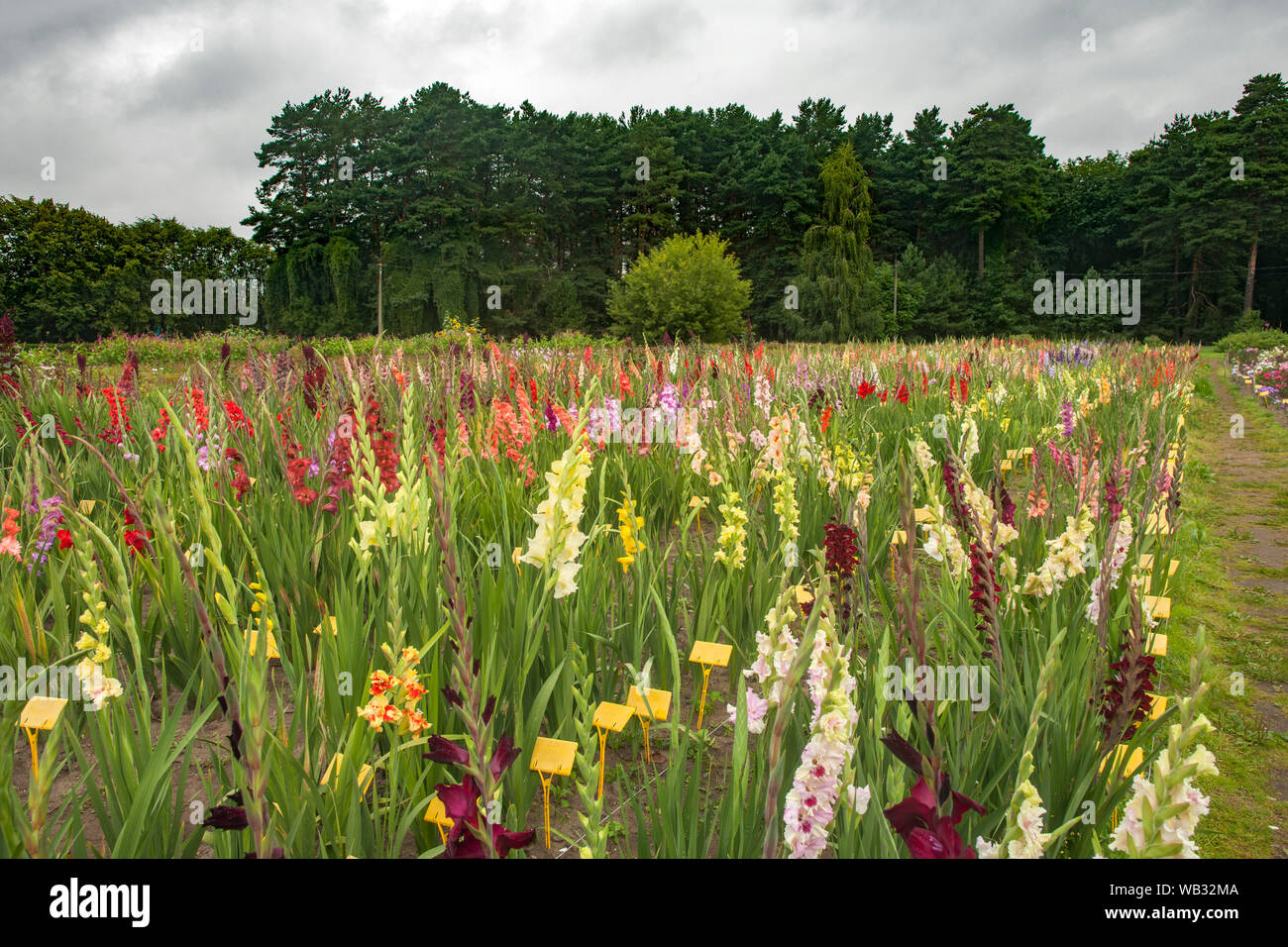 The Minsk Botanical Gardens In Minsk Belarus Stock Photo