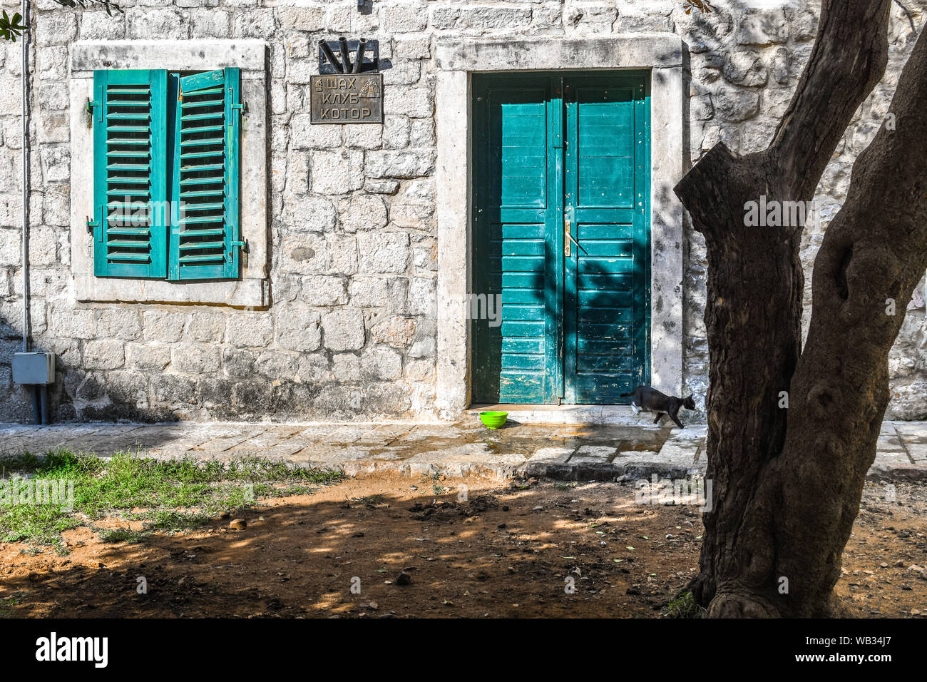 A stray black and white cat walks across the doorstep past teal colored doors and shutters in the medieval walled city of Kotor, Montenegro Stock Photo
