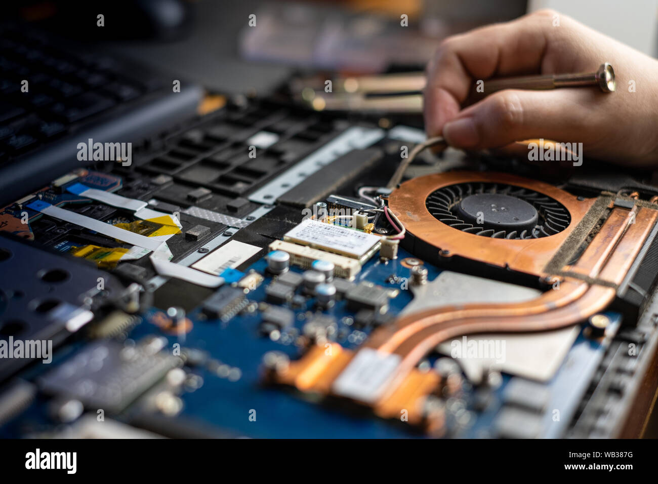 Technician repairing broken laptop notebook computer with screwdriver Stock Photo