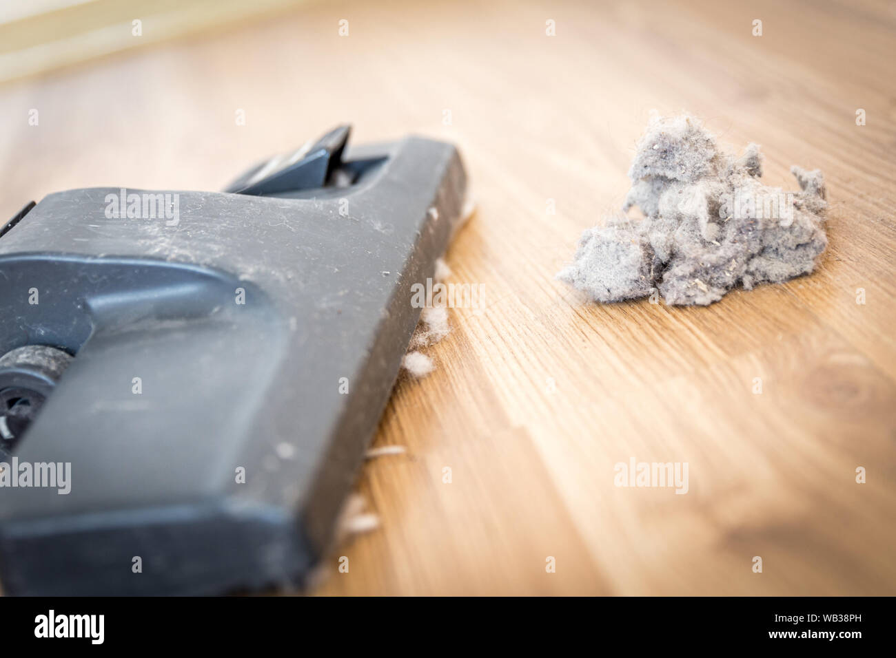 Dust dirt lint hi-res stock photography and images - Alamy