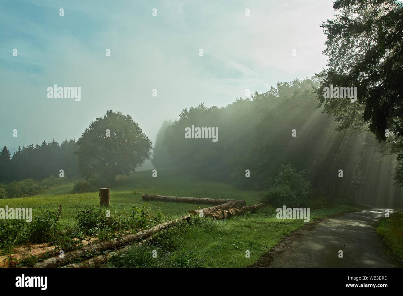 Morning mood in the countryside with fog and sunbeams Stock Photo - Alamy