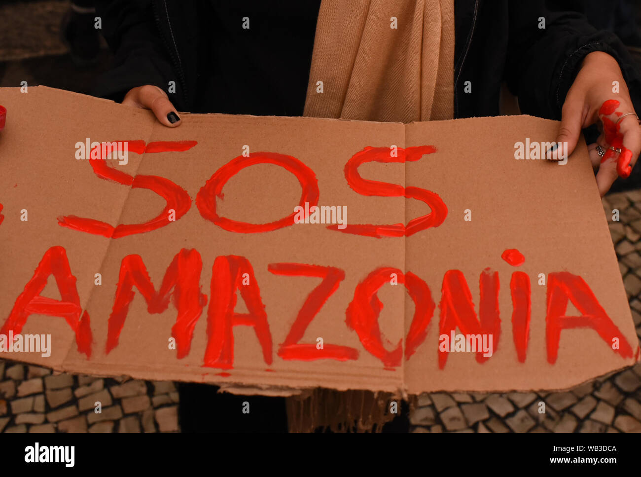 Rio De Janeiro, Brazil. 23rd Aug, 2019. A woman holding a sign with the inscription 'SOS Amazonia' ('SOS Amazonien') during a demonstration in view of the devastating forest fires in the Amazon. In Brazil, the worst forest fires in years are currently raging. Since January 2019, fires and slash-and-burn in South America's largest country have increased by 83 percent compared to the same period last year. Credit: Fabio Teixeira/dpa/Alamy Live News Stock Photo