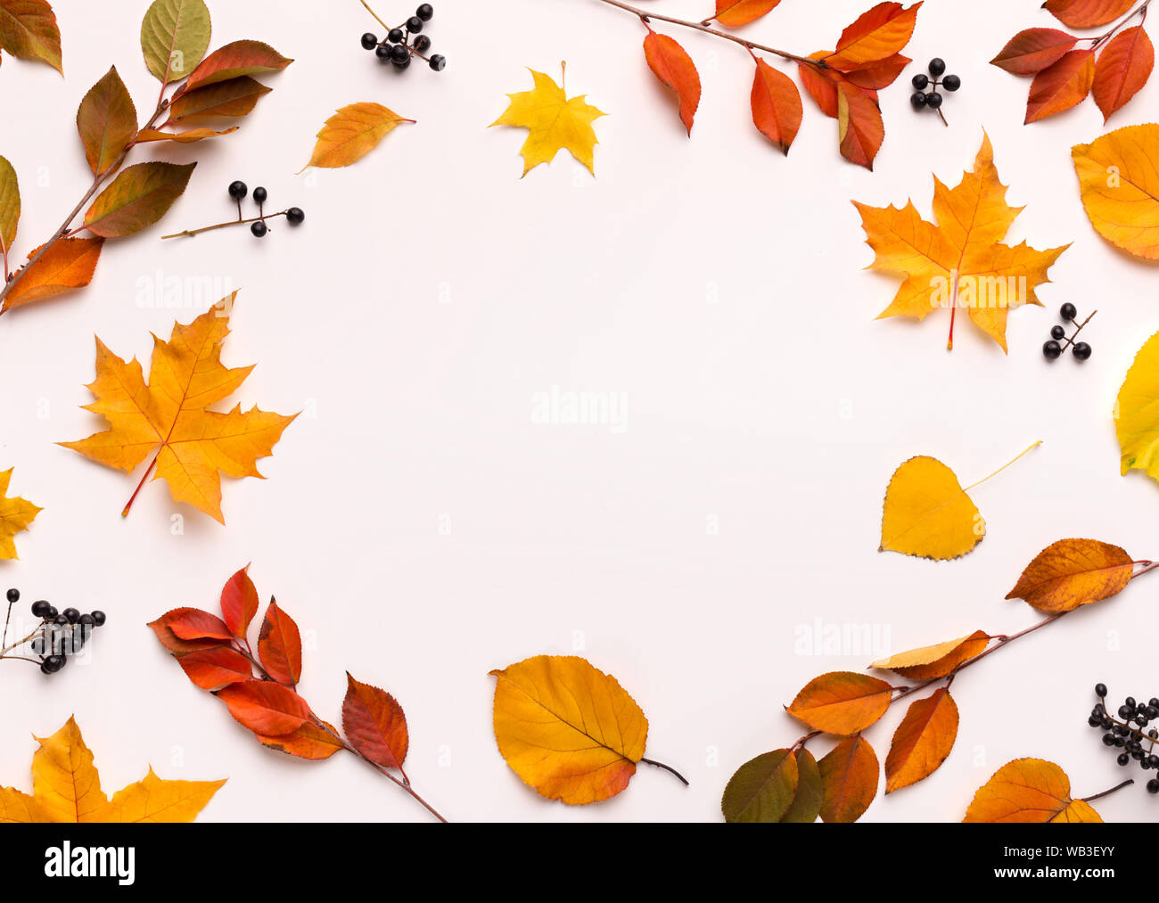 Blank white gold round hi-res stock photography and images - Alamy