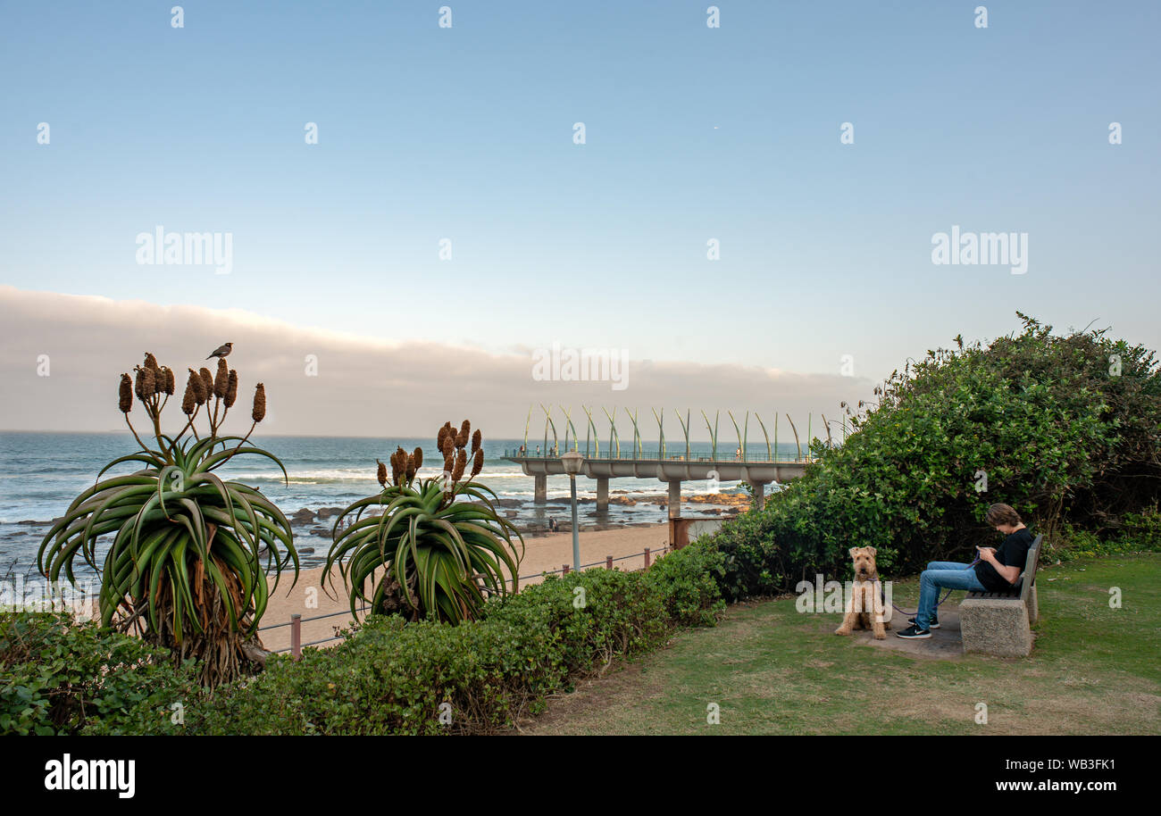 DURBAN SOUTH AFRICA - AUGUST 23 2019: Man using smartphone, sitting on a bench, with his dog, on the promenade at the beach in Umhlanga Rocks near Dur Stock Photo
