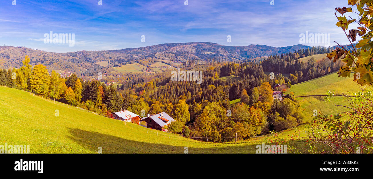 Panoramic view to the autumn colored valley in the Beskidy mountains with a blue sky on a sunny day Stock Photo