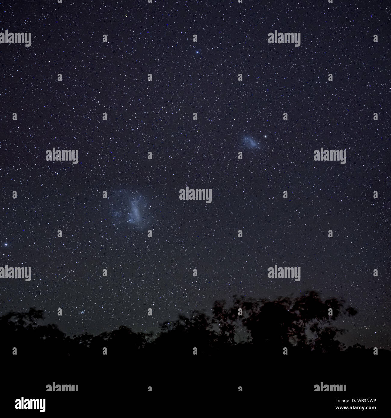 Magellanic Clouds in southern hemisphere night sky above silhouettes of ...