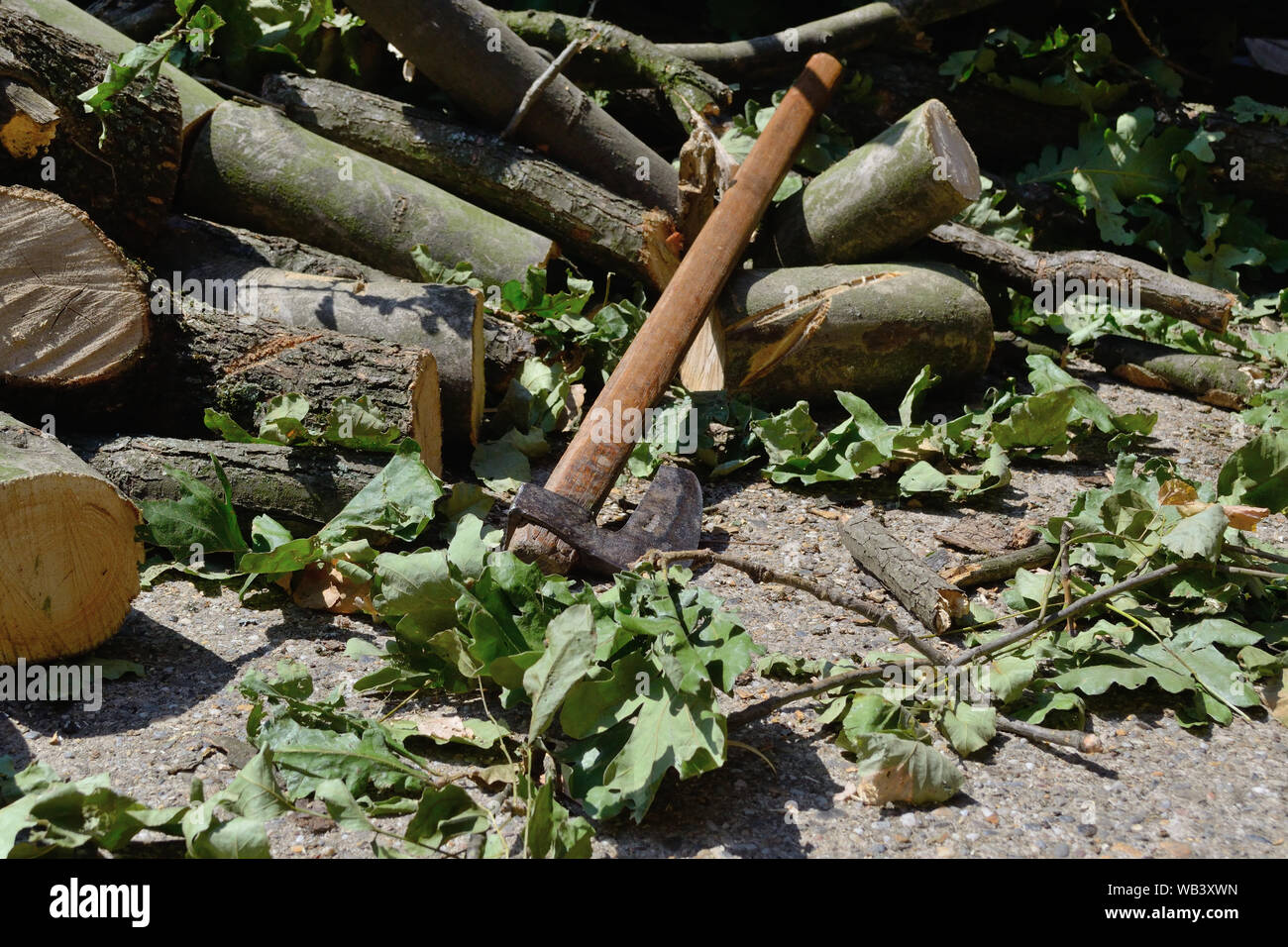Hatchet for chopping firewood for winter Stock Photo Alamy