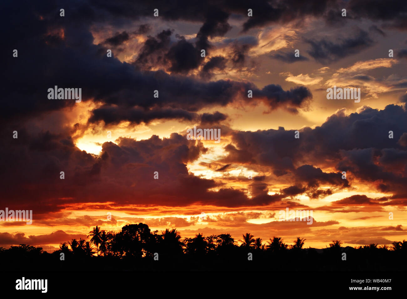 Silhouette of coconut and other trees with beautiful sky at sunset,Photos back - light at the horizon began to turn orange with purple and pink cloud Stock Photo