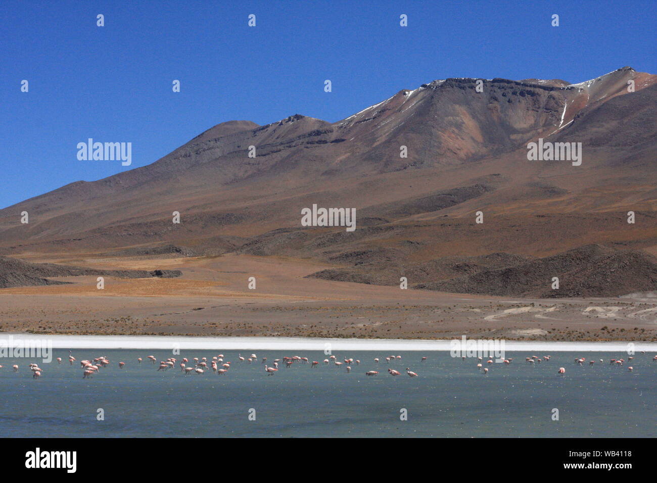 Salar de Uyuni, amid the Andes in southwest Bolivia Stock Photo