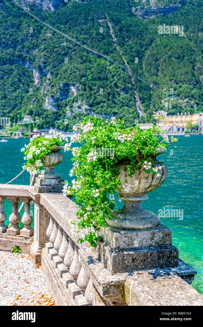 Urn geranium hi-res stock photography and images - Alamy