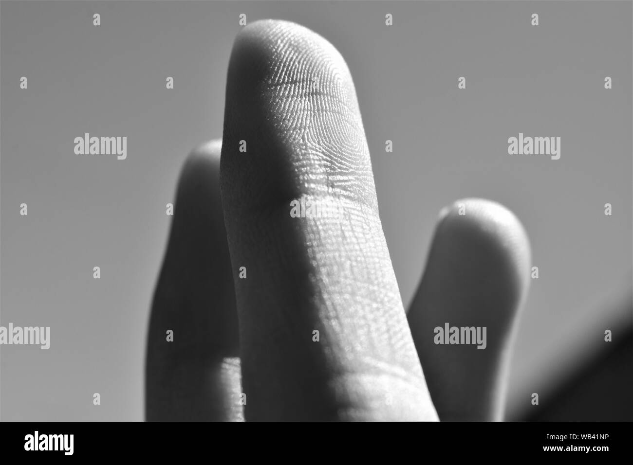 Black and white macro photo of fingerprint Stock Photo