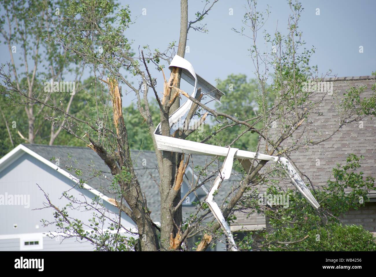 Siding wrapped around tree after tornado Stock Photo Alamy