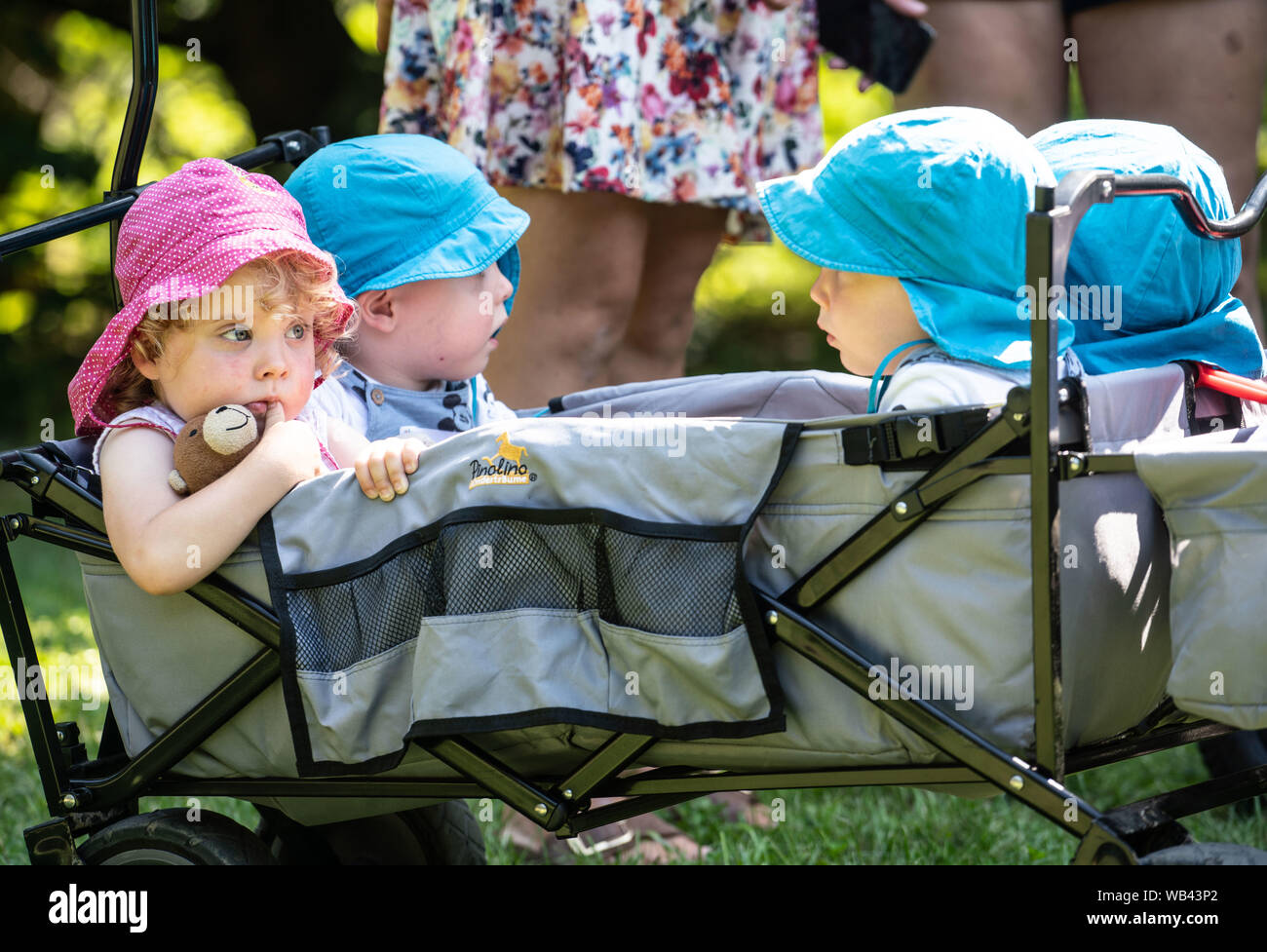 24 August 2019, Hessen, Lich: The two-year-old quadruplets Maja (l-r), Bruno, Paul, Oskar from Giessen sit in their little cart at the triplet meeting of the Hessian Prime Minister. In Hesse, the traditional head of government takes over the honorary sponsorships until the children start school. Photo: Frank Rumpenhorst/dpa Stock Photo