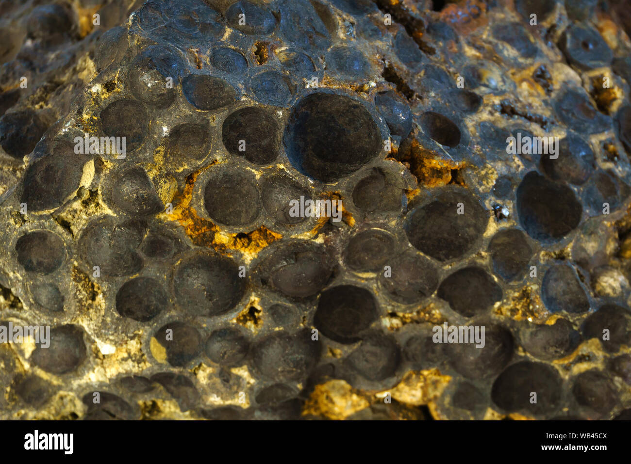 oolite sedimentary rock oolite sedimentary rock