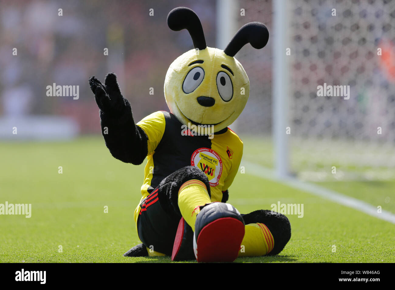 Watford Hertfordshire Uk 24th August 2019 Watford Hertfordshire Uk Vicarage Road Wawatford Hertfordshire England English Premier League Football Watford Football Club Versus West Ham United Harry The Watford Mascot Entertaining The Fans