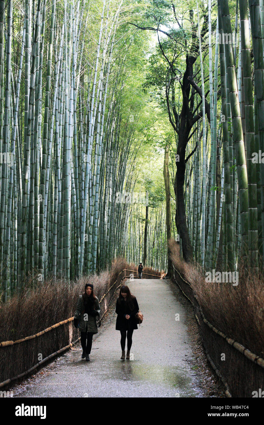A Walk In Arashiyama Bamboo Forest In Kyoto Japan Stock Photo Alamy