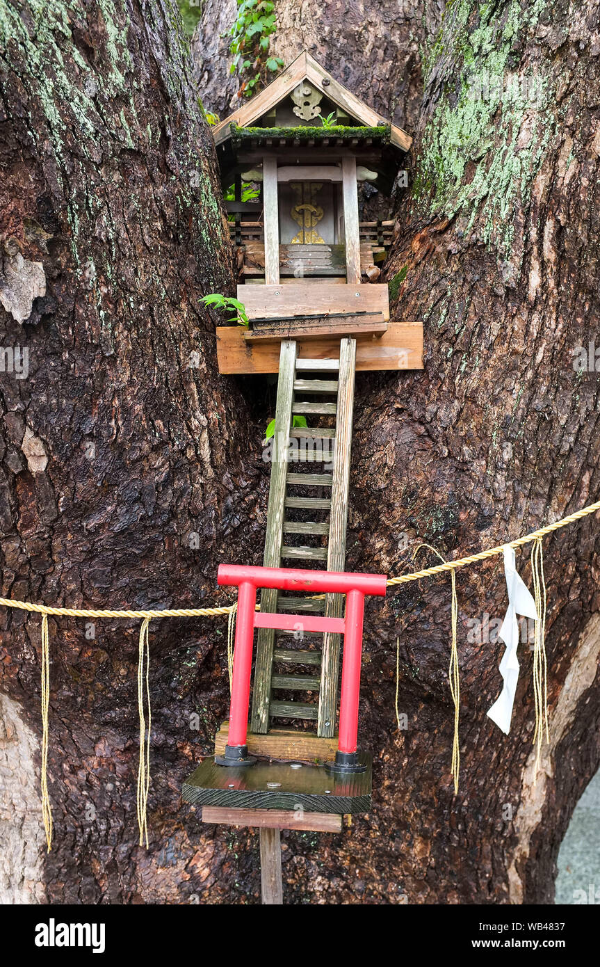Mini Shinto shrine in a sacred tree at the Kumamoto castle Stock Photo