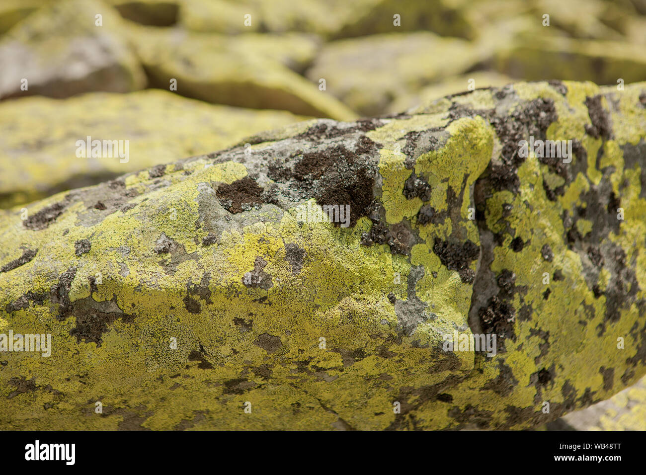 Closeup surface abstract marble pattern at the marble stone floor texture background. Stock Photo