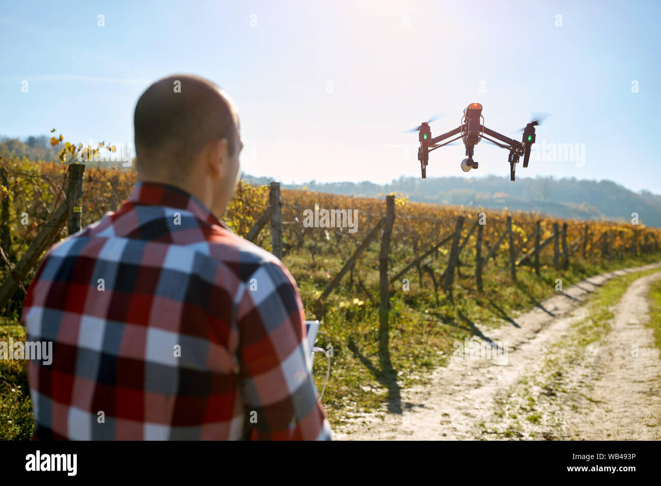 Young man filming vineyard with modern drone Stock Photo